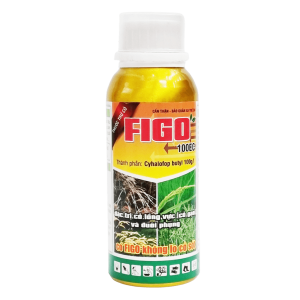 FIGO 100EC - Thuốc trừ cỏ đuôi phụng triệt để