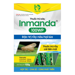 INMANDA 100WP