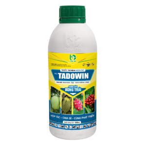 TADOWIN