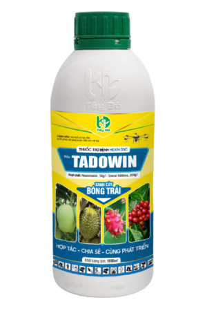 TADOWIN